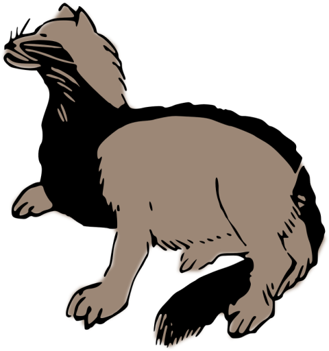 Stink Badger PNG Animal Free Transparent Background