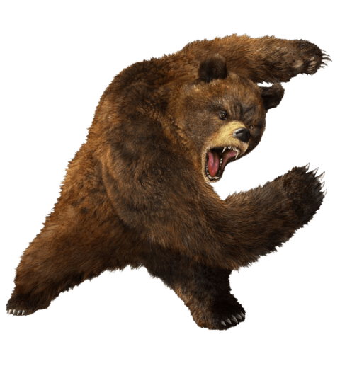 Fighting Bear & Baloo PNG Picture With Transparent free Download