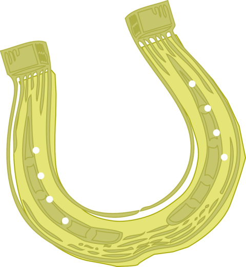 Animated Horseshoe PNG Image Free Art
