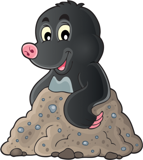 Cute Mole Animal PNG Cartoon Image