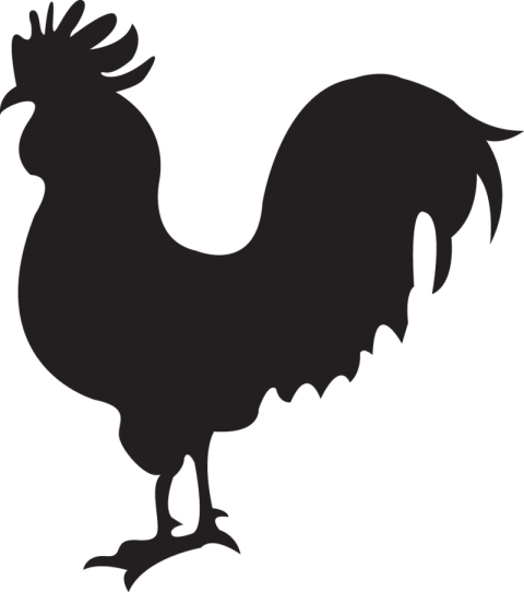 Rooster PNG silhoutte Black Chicken image free Download