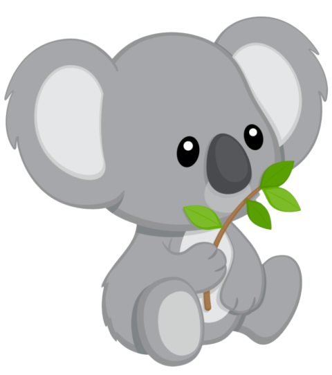 Hawaii Cute Koala Drawing PNG Transparent Image