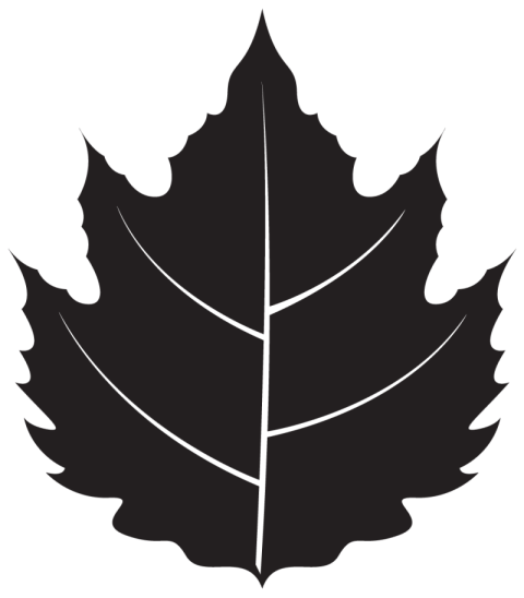 Maple Leaf Silhouette PNG Icon With Transparent Free Download