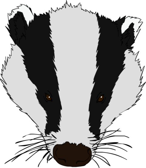 Badger PNG HD Background Face Logo & Wallpaper  Free Download