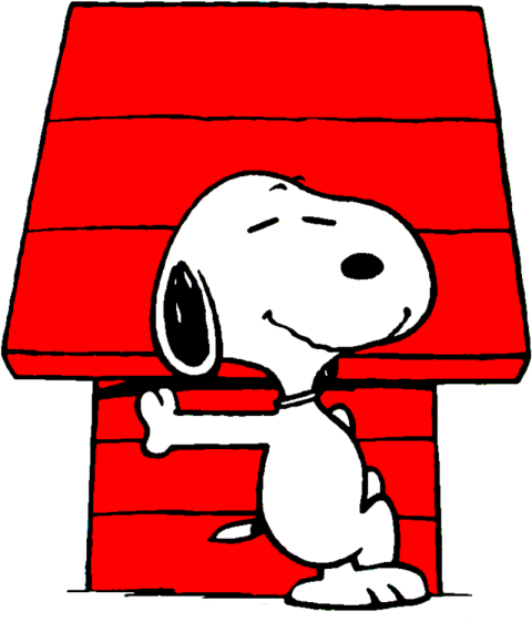 Charlie Brown Woodstock Peanuts Transparent Snoopy PNG Image Free Download