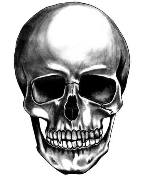 Symbol of Skull Death PNG Image Free Download