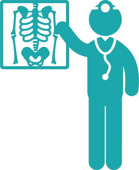 X Ray PNG VECTOR psd Clipart Icon Transparent Background