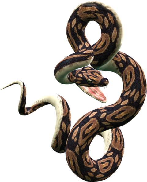 Cobra Snake PNG Constrictor Png Image Transparent