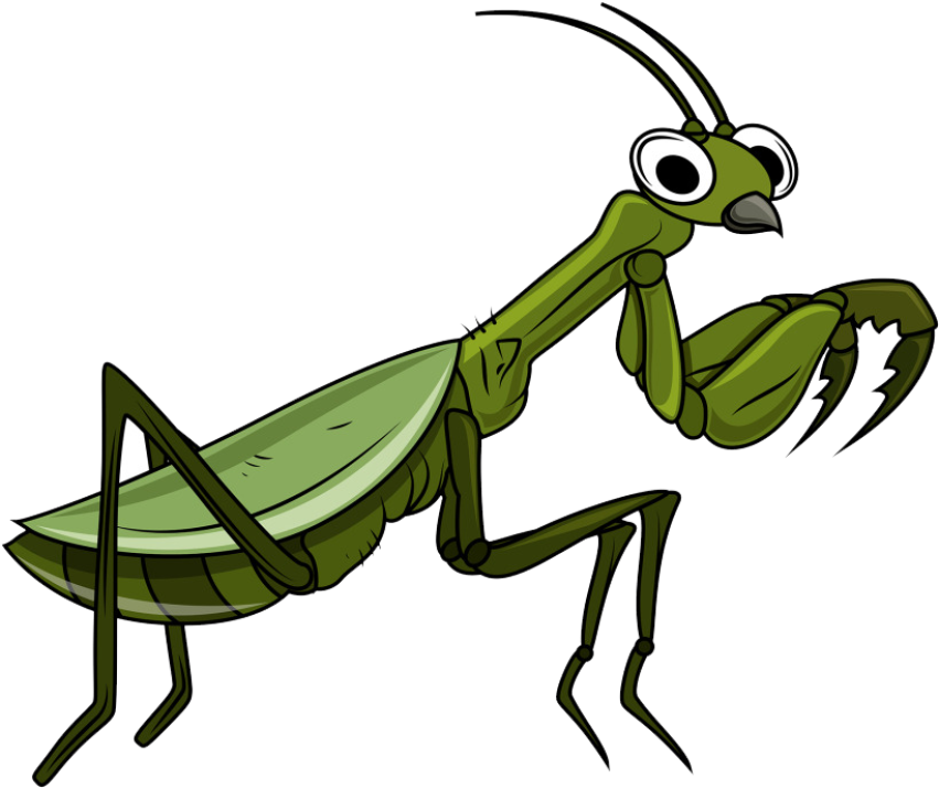 Silhouette European Mantis Insect image PNG Download Free