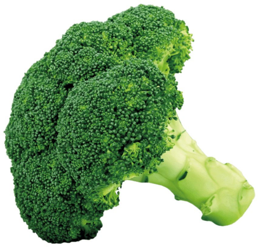Broccoli vegetable png free download