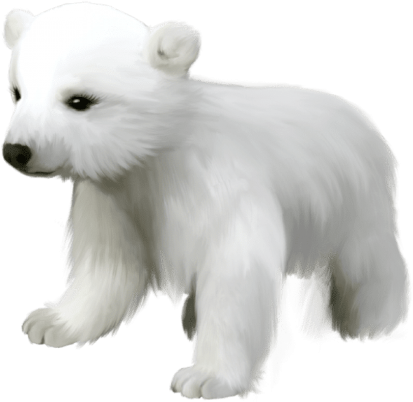 Cute Litter White Bear PNG Image Fre Transparent background