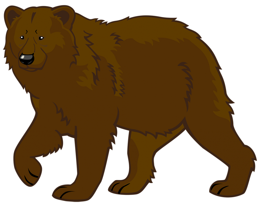 HQ Brown Bear On Clipart Svg  Bear Drawing PNG Picture Free Download