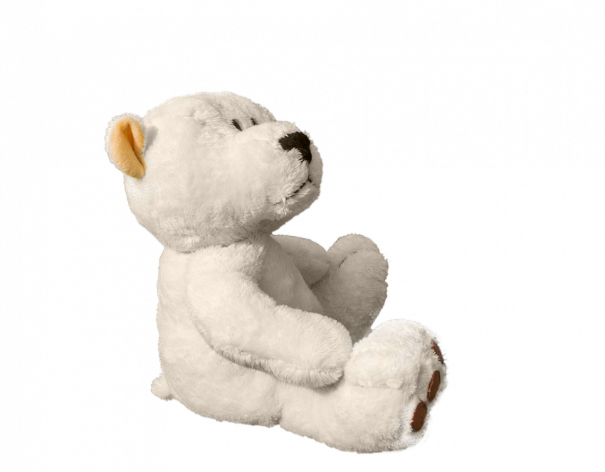 White Teddy Bear Side View PNG Image With Remove Background