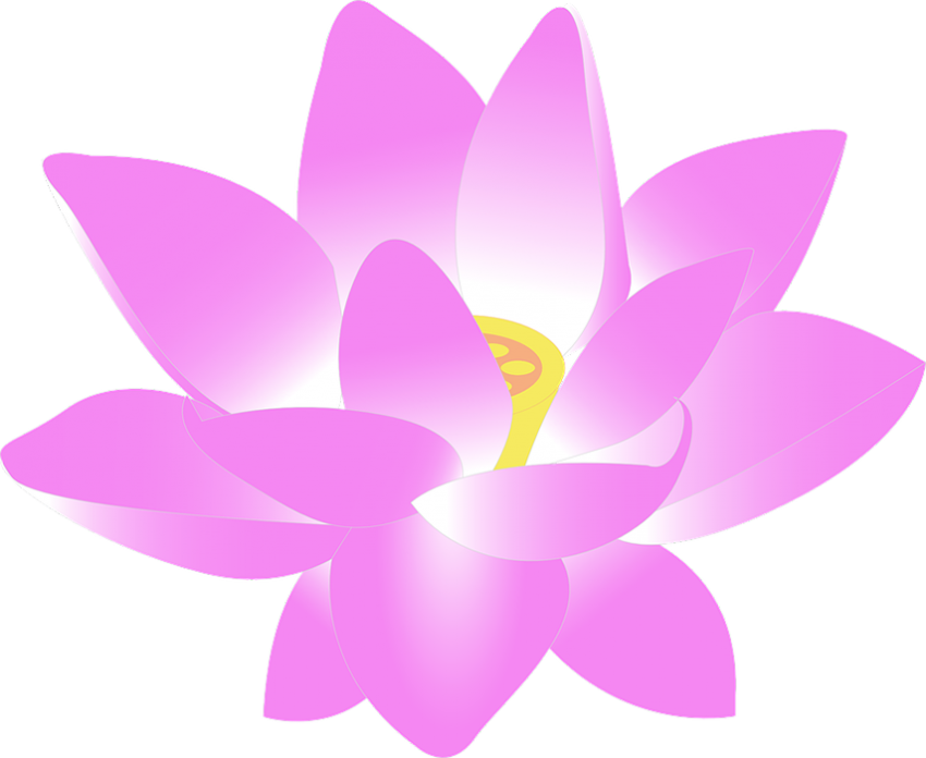 Nelumbo Nucifera Water lily Euclidean Lotus PNG happy image