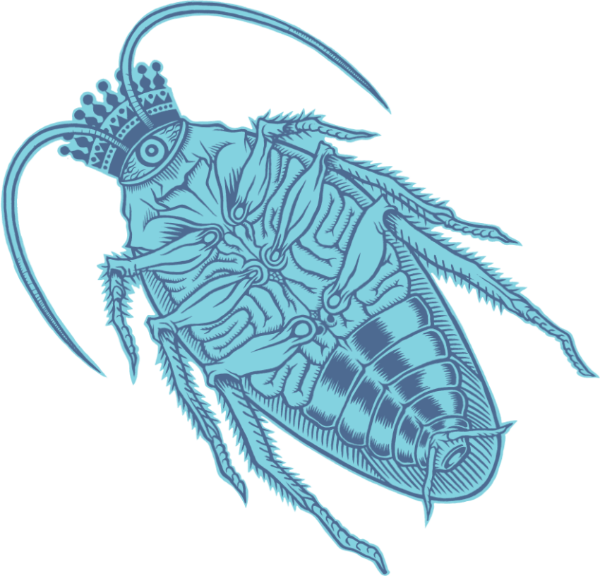 Vector Graphi Ai Clipart Roach PNG Image Free download
