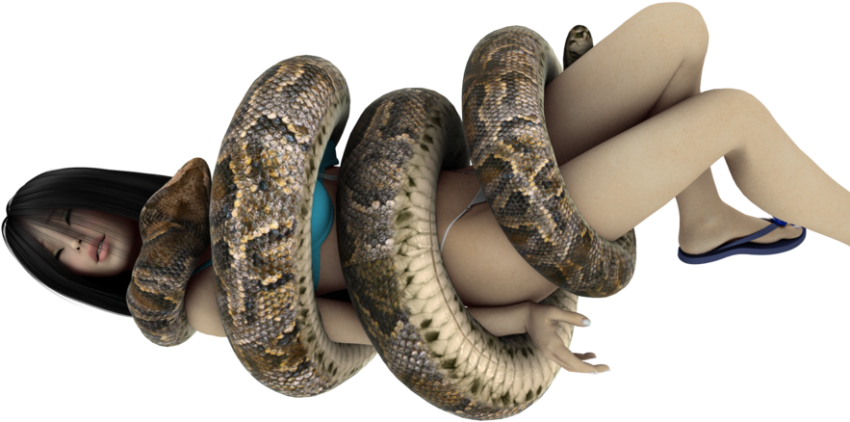Giant Anaconda PNG image Free Download