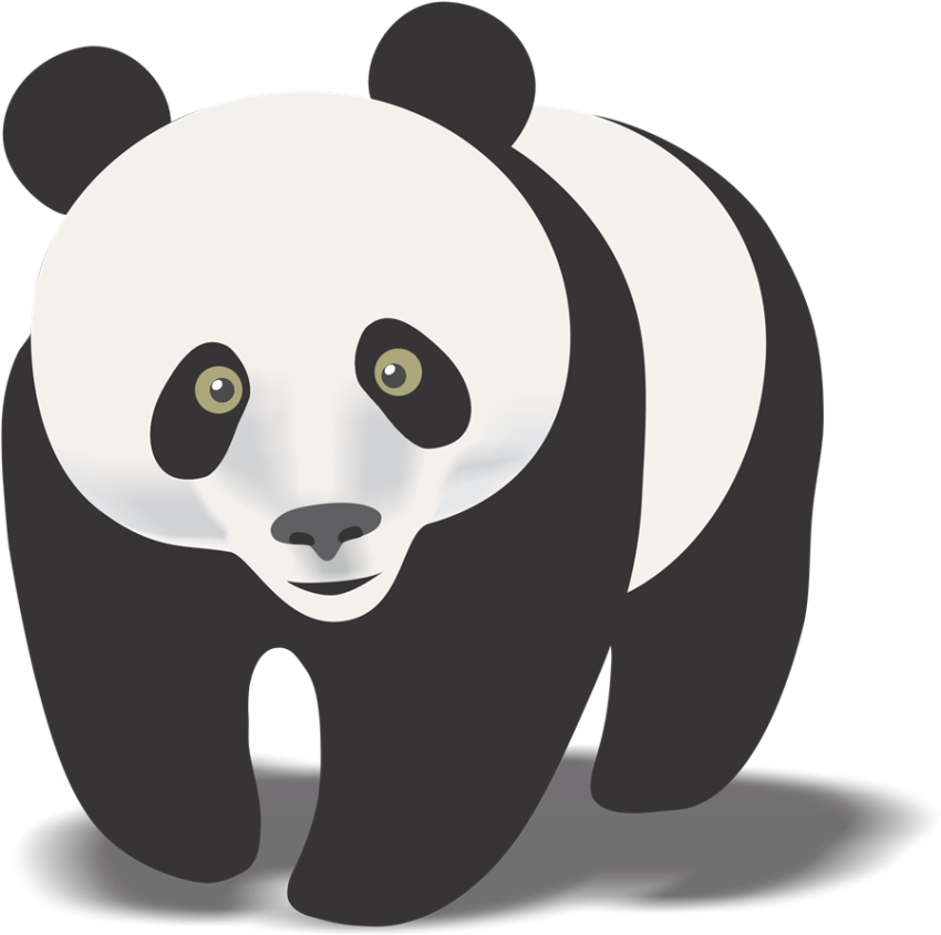 White & Black Panda Bear PNG mammal Animal Free Image