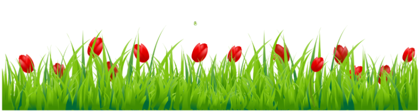 Royal Green Gass with Red Flower PNg transparent Vector Image