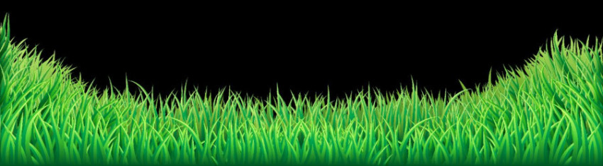 Small Green Grass circle Decoration, PNG free Grass, Fruit, Grass, Green Download free