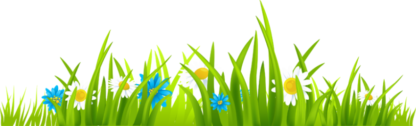 Green Gass with White Flower PNG Image