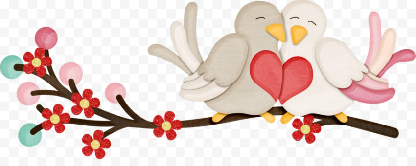 Cute Love Birds Aniaml PNG Transparent