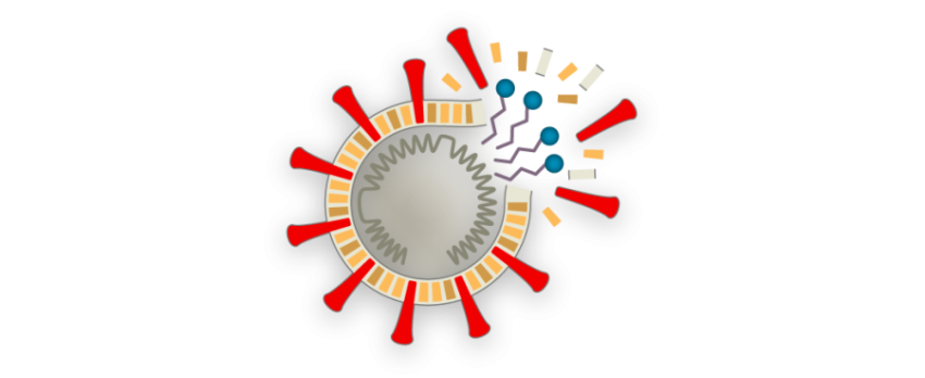 Stop Coronavirus PNG Transparent Background Image