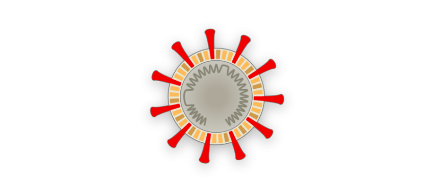 Meme Stop Coronavirus PNG Image Free Download