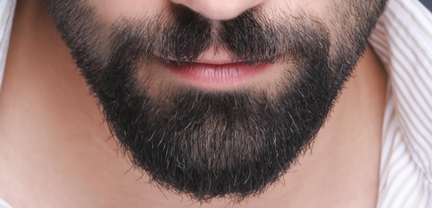 A Man With A Beard Png free download