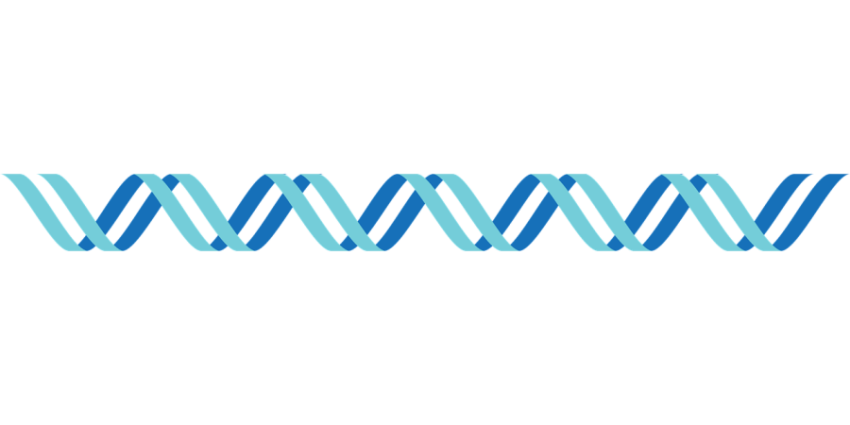 Necleic DNA PNG Transparent Picture Free Download
