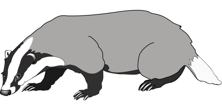 Illustration Clipart Cartoon Badger Character PNG Image On Transparent Free Download