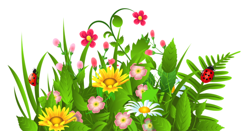 Colorful Flowers with Green Gass PNG Underground Picture