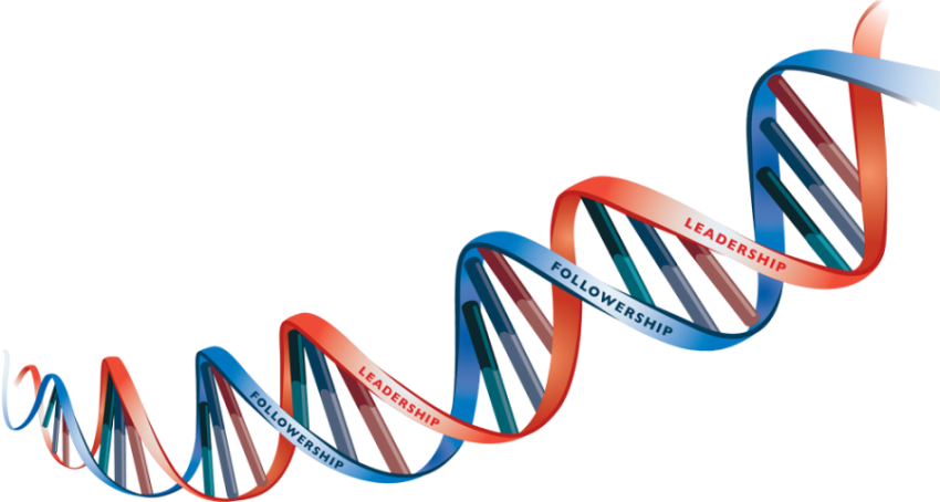 DNA Genes PNG Image Free Download