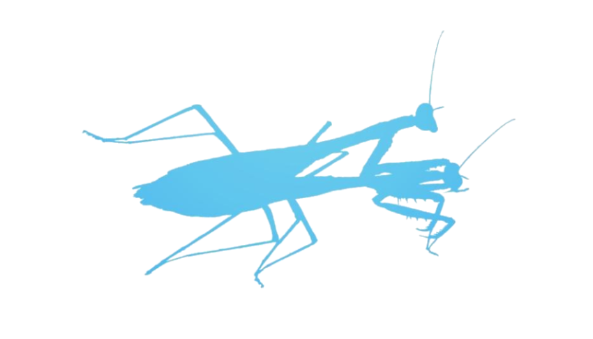 Blue Vector Graphic Art Mantis PNG Free AnimalsIcon PNG Free Download