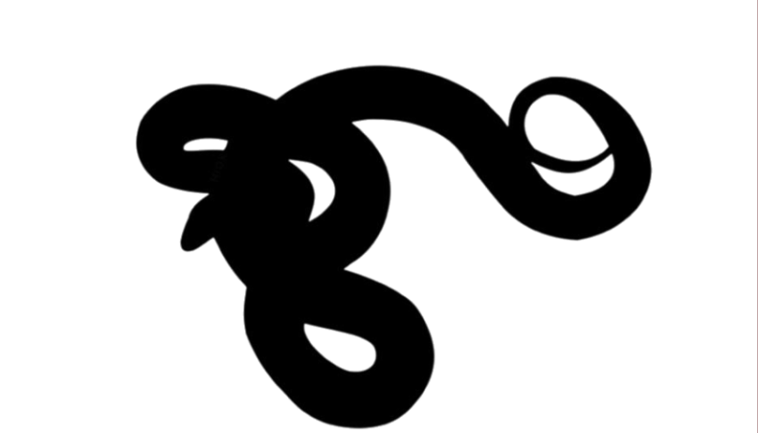 Anaconda PNG Logo Transparent Background