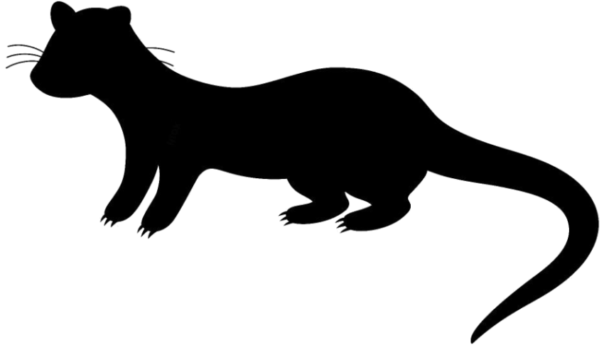 Silhouette Weasel icon PNG Image