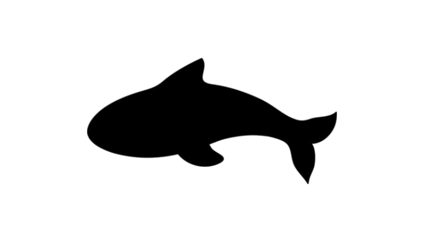 Orca PNG Silhouette Simple  Logo Free Transparent