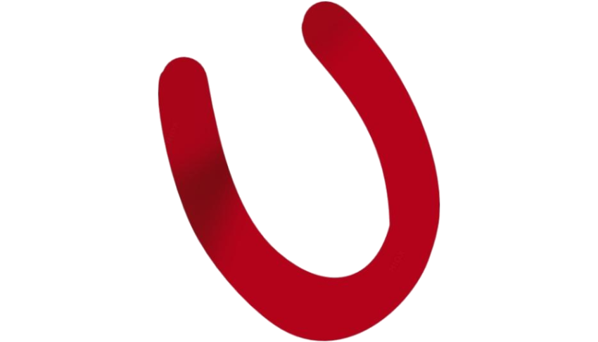 Meme Horseshoe PNG Image on White Background