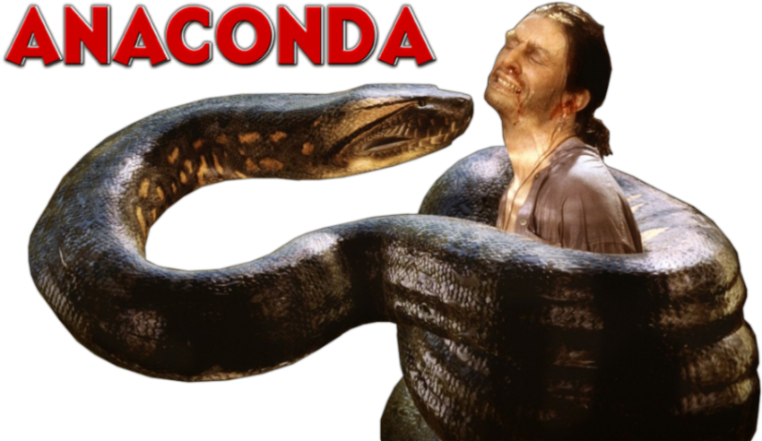 Anaconda Constriction Art PNG Image Transparent Background