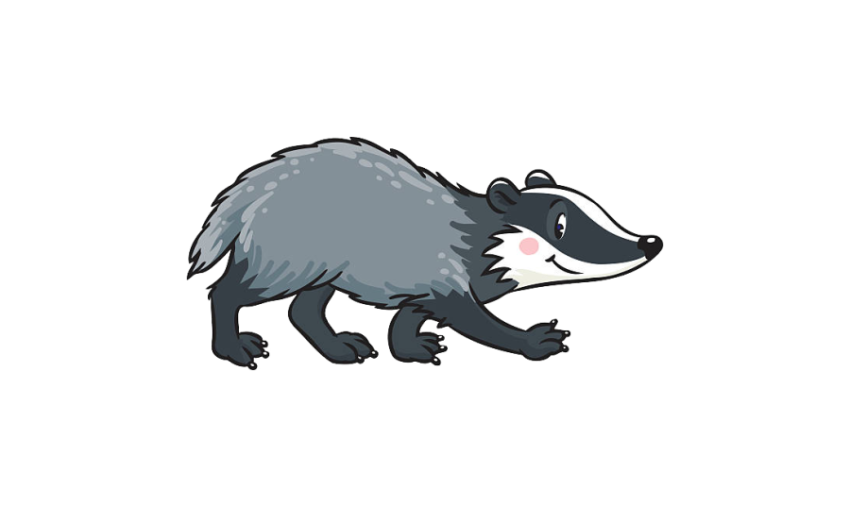 Cute Honey Badger On Transparent Background PNG Free Download