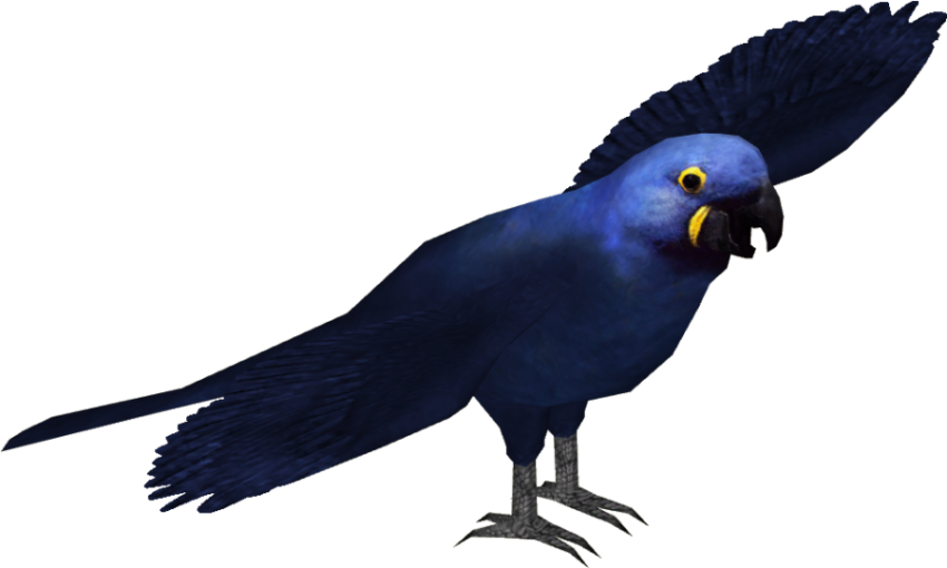 Blue Macaw PNG Flying Bird ClipArt  Image Free Download