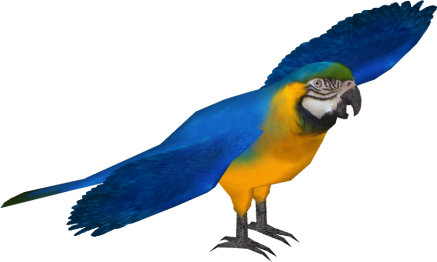 Isolated Macaw PNG Photo Download Free Background