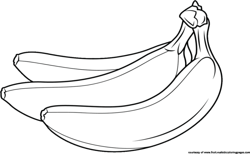 Banana Sketching Picture PNG White Background Free Download