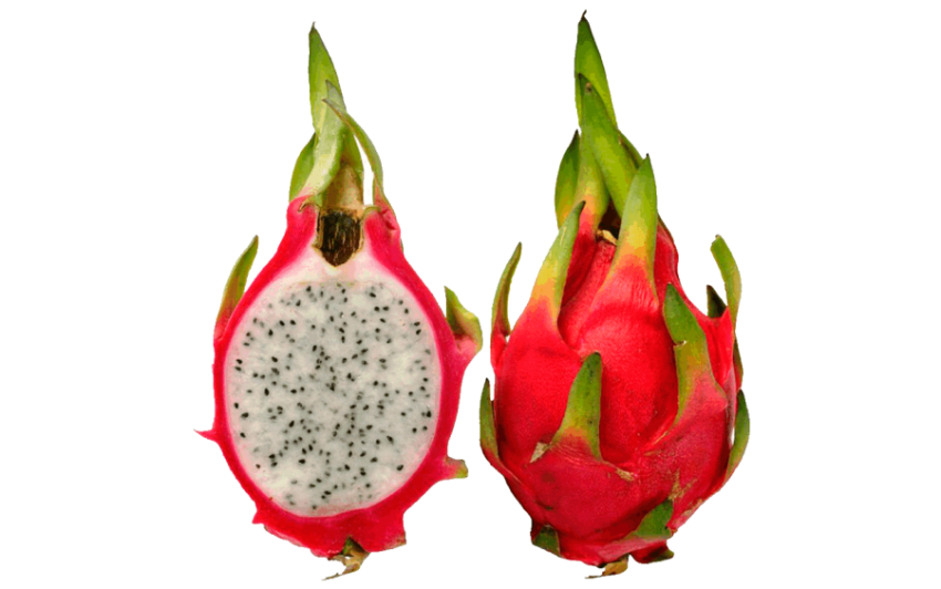 Dragon Fruit PNG Isolated Martup Pic PNG Transparent Free Download