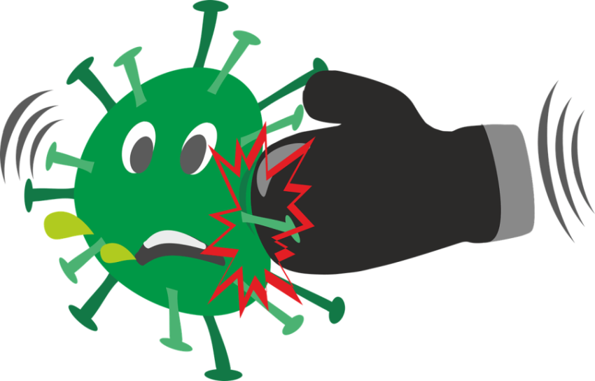 Stop Coronavirus PNG Fight with Viruse Logo