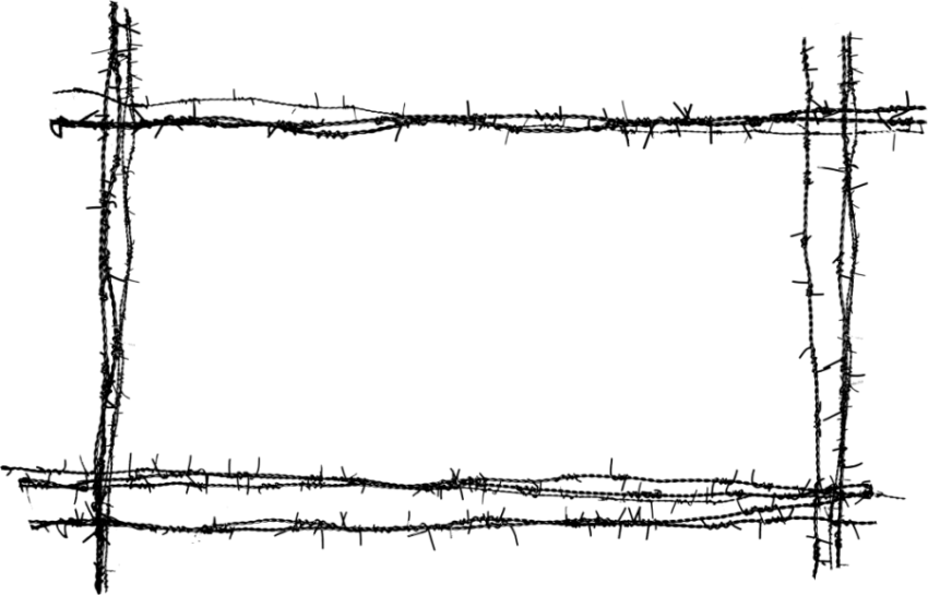 Barbwire PNG on White Background