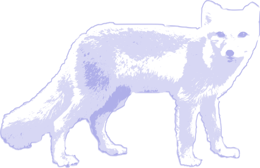Arctic Fox Icon PNG Free PNG And Icon Download