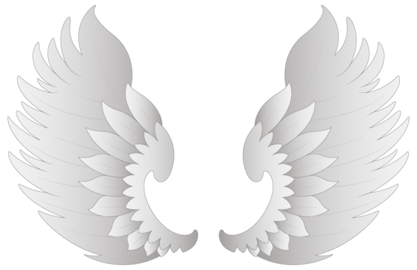 Angel Wings PNG Vector PNG image With Transparent Background