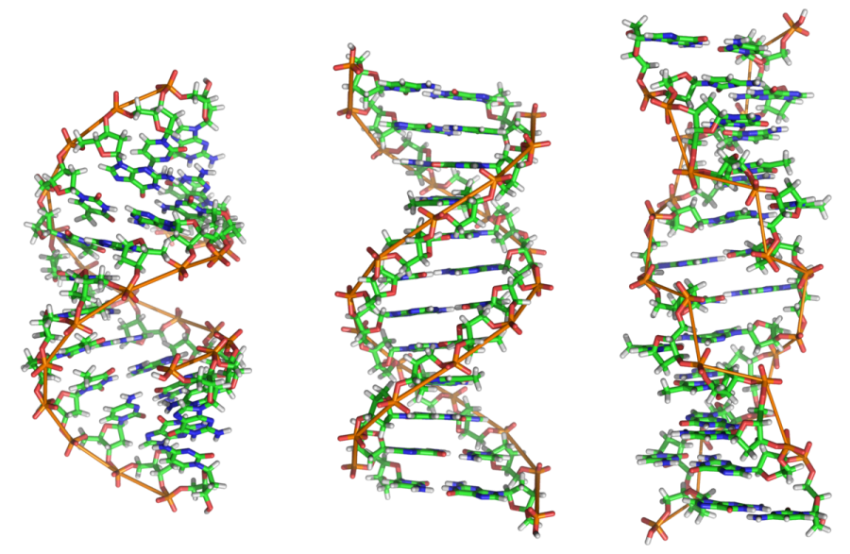 High Resolution DNA PNG Image Free Download