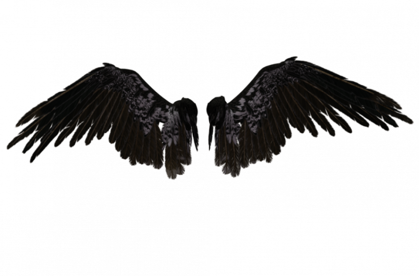 Wings Black Crow PNG Image With Transparent Background