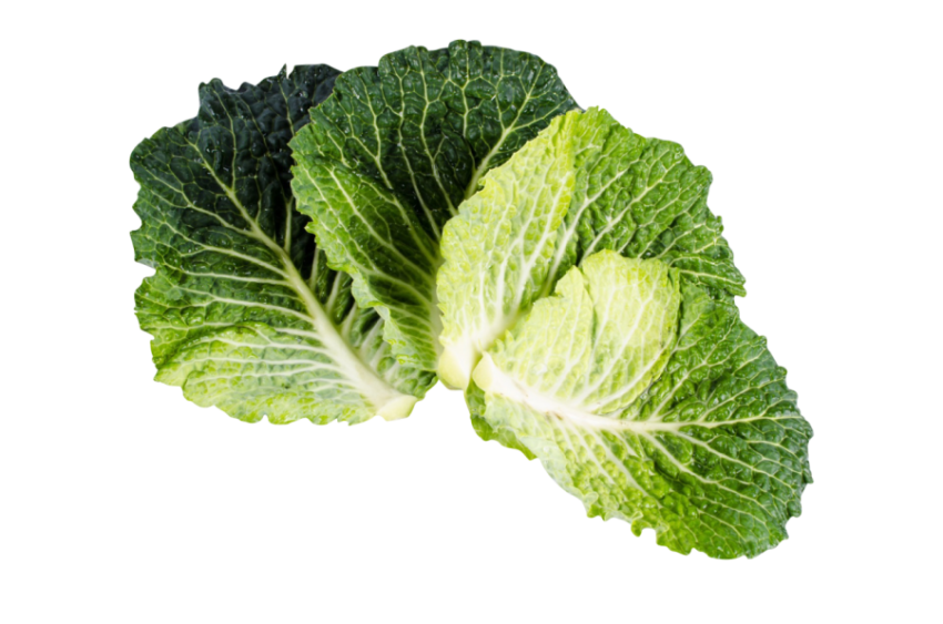 Four Kale Leaves,Green Leaves With White Branches,HD Kale Photo Free Download PNG Image,Transparent Background